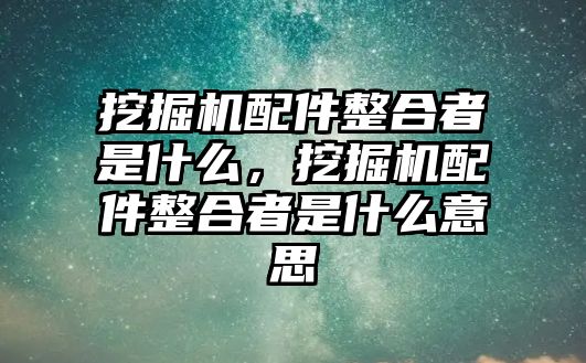 挖掘機(jī)配件整合者是什么，挖掘機(jī)配件整合者是什么意思