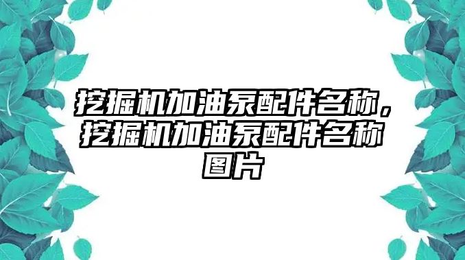 挖掘機(jī)加油泵配件名稱，挖掘機(jī)加油泵配件名稱圖片