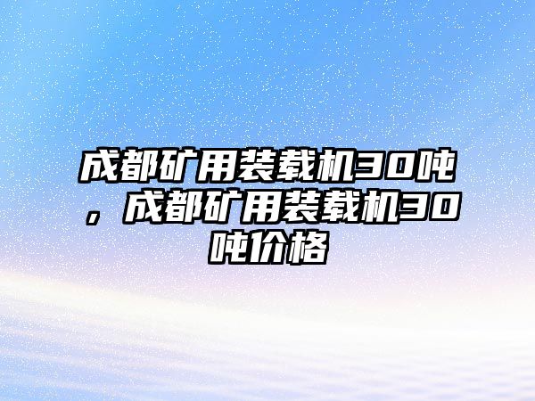 成都礦用裝載機(jī)30噸，成都礦用裝載機(jī)30噸價格