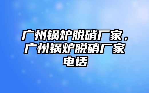 廣州鍋爐脫硝廠家，廣州鍋爐脫硝廠家電話