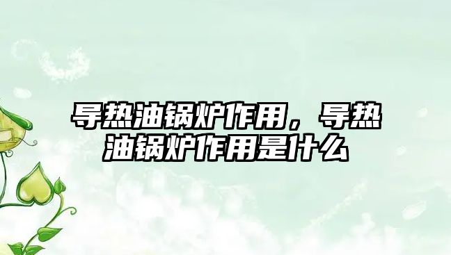 導熱油鍋爐作用，導熱油鍋爐作用是什么