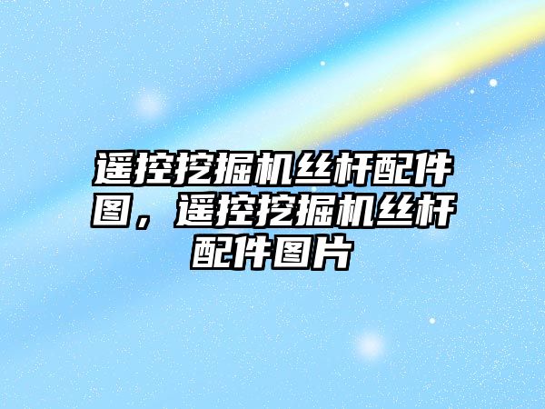 遙控挖掘機絲桿配件圖，遙控挖掘機絲桿配件圖片