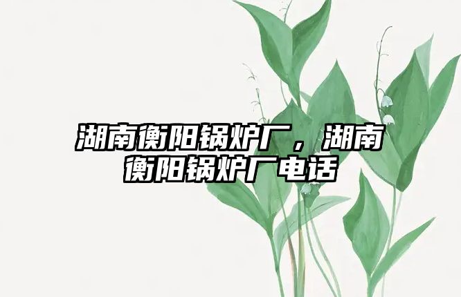 湖南衡陽鍋爐廠，湖南衡陽鍋爐廠電話