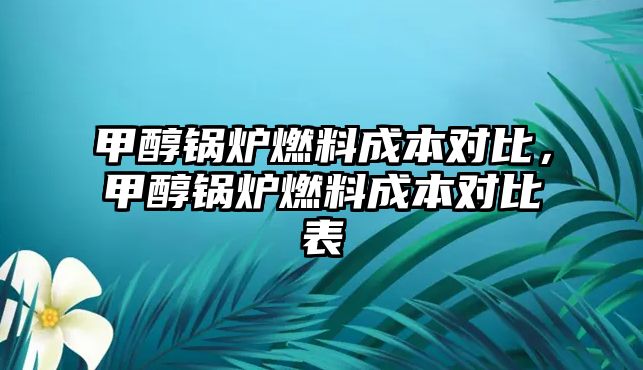 甲醇鍋爐燃料成本對比，甲醇鍋爐燃料成本對比表