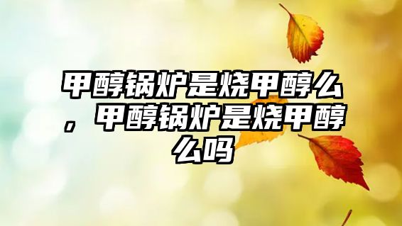 甲醇鍋爐是燒甲醇么，甲醇鍋爐是燒甲醇么嗎