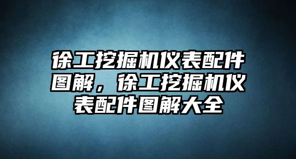 徐工挖掘機(jī)儀表配件圖解，徐工挖掘機(jī)儀表配件圖解大全