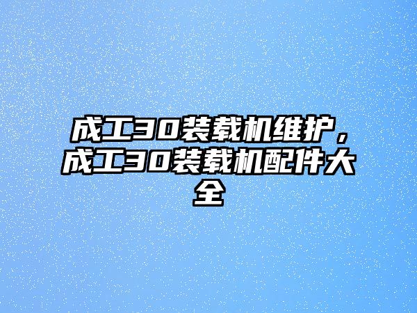 成工30裝載機維護，成工30裝載機配件大全