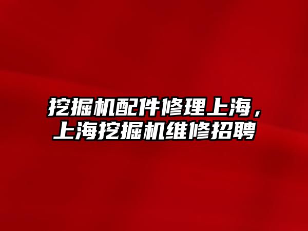 挖掘機配件修理上海，上海挖掘機維修招聘