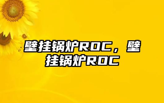 壁掛鍋爐ROC，壁掛鍋爐ROC