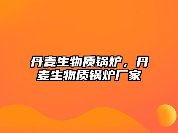 丹麥生物質鍋爐，丹麥生物質鍋爐廠家