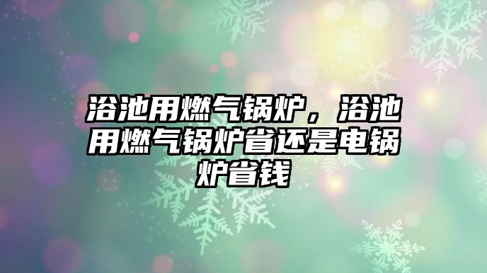 浴池用燃?xì)忮仩t，浴池用燃?xì)忮仩t省還是電鍋爐省錢(qián)