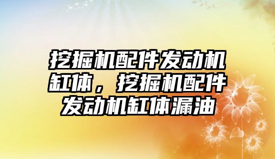 挖掘機配件發(fā)動機缸體，挖掘機配件發(fā)動機缸體漏油