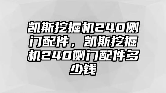 凱斯挖掘機(jī)240側(cè)門配件，凱斯挖掘機(jī)240側(cè)門配件多少錢