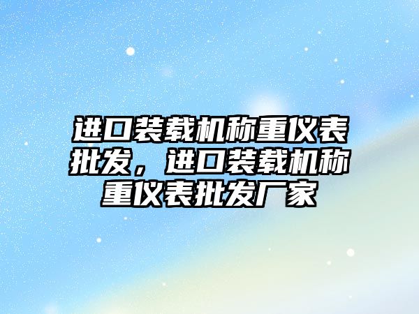 進口裝載機稱重儀表批發(fā)，進口裝載機稱重儀表批發(fā)廠家