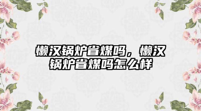 懶漢鍋爐省煤?jiǎn)?，懶漢鍋爐省煤?jiǎn)嵩趺礃?/>	
								</i>
								<p class=