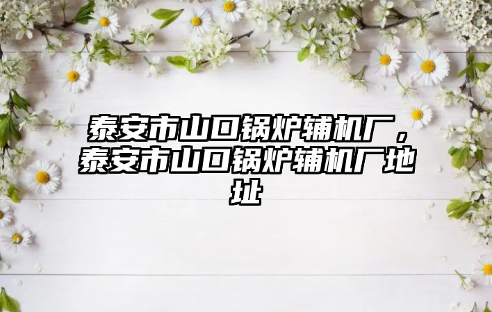 泰安市山口鍋爐輔機廠，泰安市山口鍋爐輔機廠地址