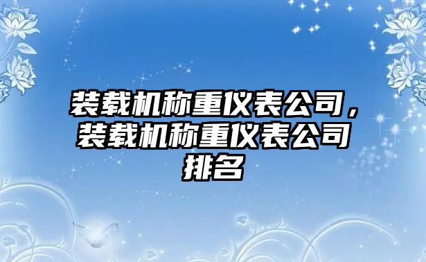 裝載機(jī)稱重儀表公司，裝載機(jī)稱重儀表公司排名