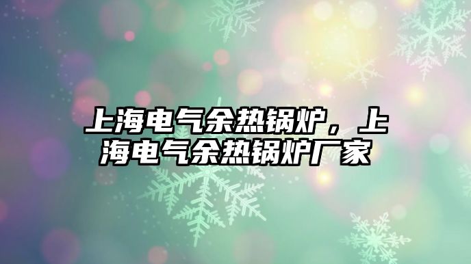 上海電氣余熱鍋爐，上海電氣余熱鍋爐廠家