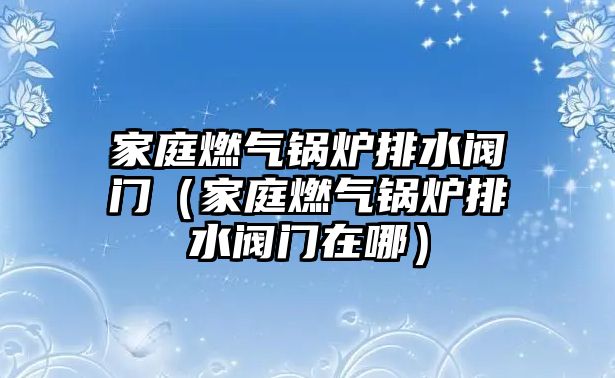 家庭燃?xì)忮仩t排水閥門(mén)（家庭燃?xì)忮仩t排水閥門(mén)在哪）