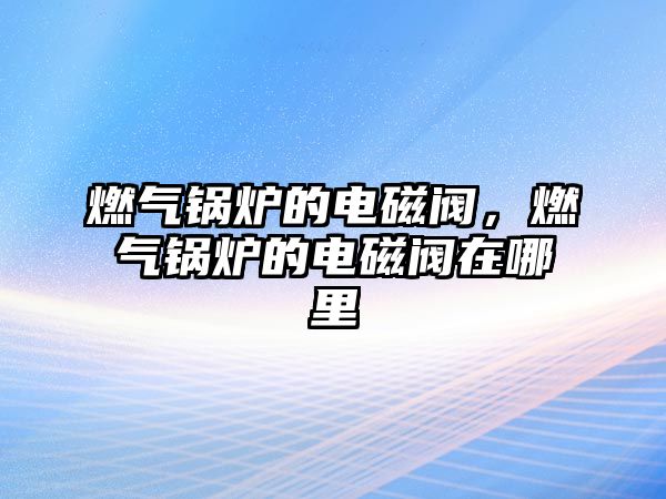 燃?xì)忮仩t的電磁閥，燃?xì)忮仩t的電磁閥在哪里