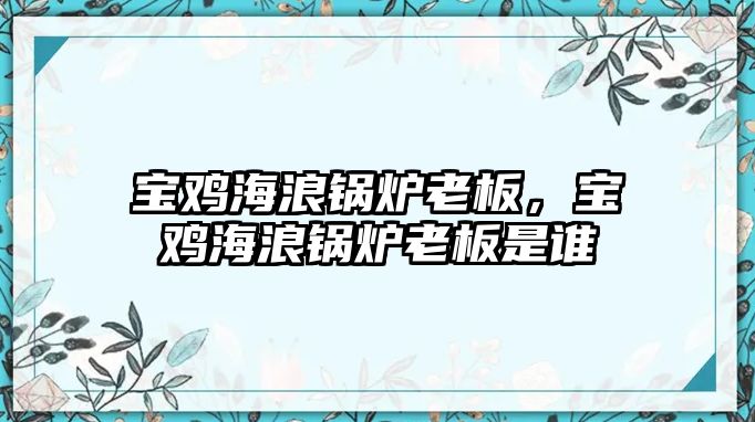 寶雞海浪鍋爐老板，寶雞海浪鍋爐老板是誰