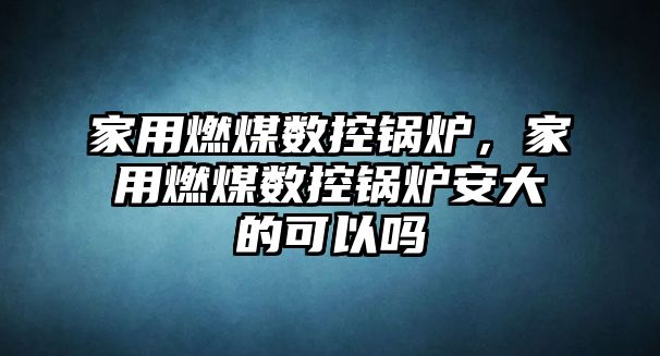 家用燃煤數控鍋爐，家用燃煤數控鍋爐安大的可以嗎