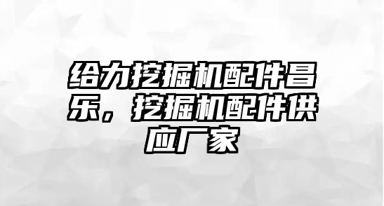 給力挖掘機配件昌樂，挖掘機配件供應廠家