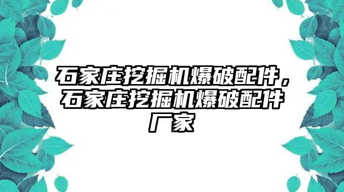 石家莊挖掘機爆破配件，石家莊挖掘機爆破配件廠家