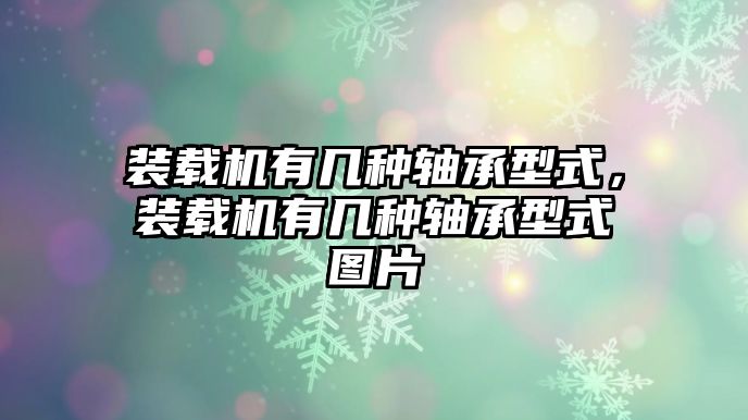 裝載機(jī)有幾種軸承型式，裝載機(jī)有幾種軸承型式圖片