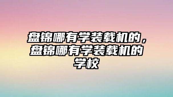 盤錦哪有學裝載機的，盤錦哪有學裝載機的學校