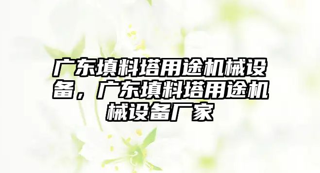 廣東填料塔用途機械設(shè)備，廣東填料塔用途機械設(shè)備廠家