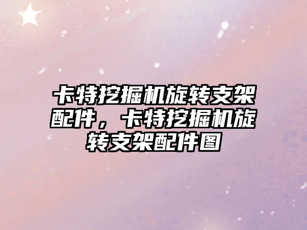 卡特挖掘機旋轉支架配件，卡特挖掘機旋轉支架配件圖