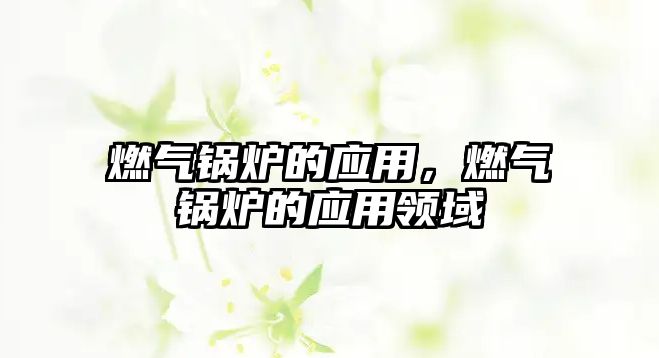 燃?xì)忮仩t的應(yīng)用，燃?xì)忮仩t的應(yīng)用領(lǐng)域