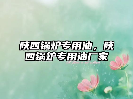 陜西鍋爐專用油，陜西鍋爐專用油廠家