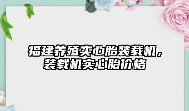 福建養(yǎng)殖實心胎裝載機，裝載機實心胎價格