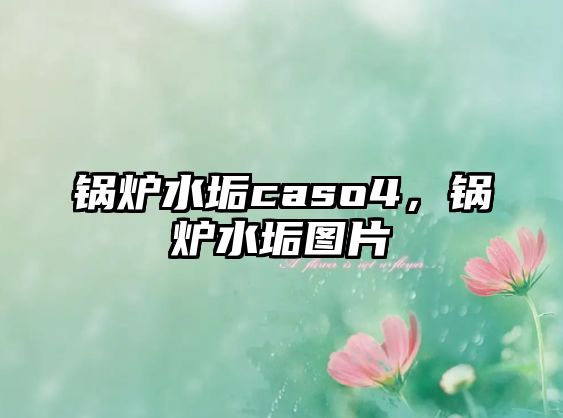 鍋爐水垢caso4，鍋爐水垢圖片