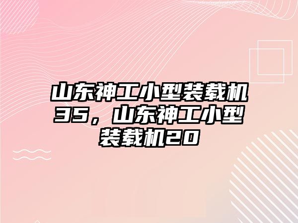山東神工小型裝載機(jī)35，山東神工小型裝載機(jī)20