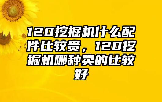 120挖掘機(jī)什么配件比較貴，120挖掘機(jī)哪種賣的比較好