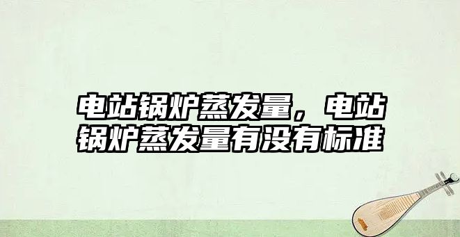 電站鍋爐蒸發(fā)量，電站鍋爐蒸發(fā)量有沒有標(biāo)準(zhǔn)