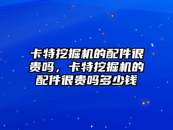 卡特挖掘機的配件很貴嗎，卡特挖掘機的配件很貴嗎多少錢