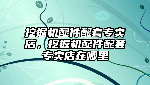 挖掘機配件配套專賣店，挖掘機配件配套專賣店在哪里