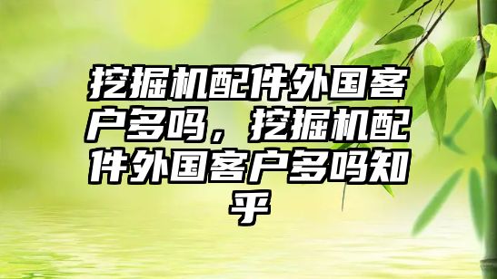 挖掘機配件外國客戶多嗎，挖掘機配件外國客戶多嗎知乎