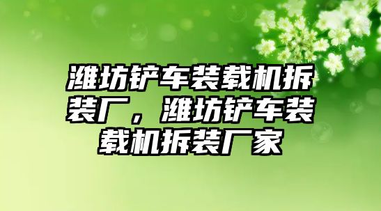 濰坊鏟車裝載機拆裝廠，濰坊鏟車裝載機拆裝廠家