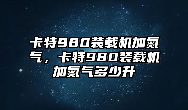 卡特980裝載機加氮氣，卡特980裝載機加氮氣多少升