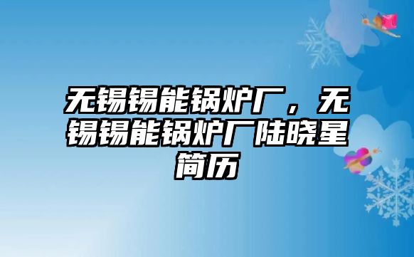 無(wú)錫錫能鍋爐廠，無(wú)錫錫能鍋爐廠陸曉星簡(jiǎn)歷