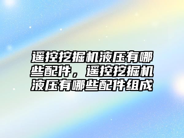 遙控挖掘機液壓有哪些配件，遙控挖掘機液壓有哪些配件組成