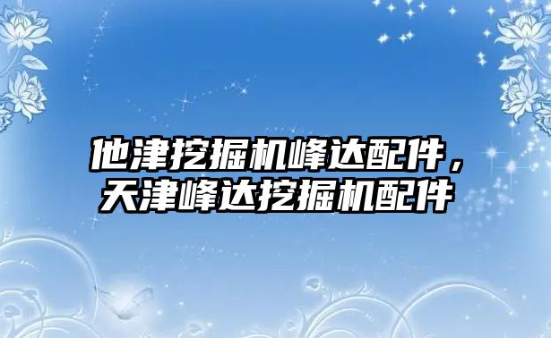 他津挖掘機峰達(dá)配件，天津峰達(dá)挖掘機配件