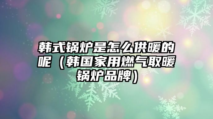 韓式鍋爐是怎么供暖的呢（韓國家用燃氣取暖鍋爐品牌）