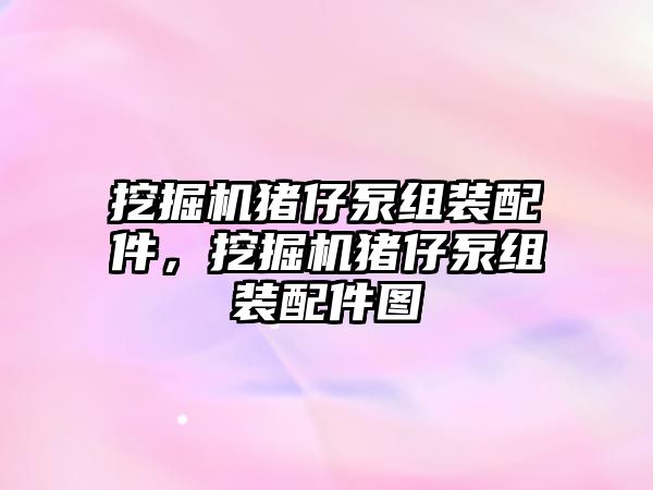 挖掘機豬仔泵組裝配件，挖掘機豬仔泵組裝配件圖