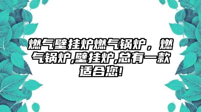 燃?xì)獗趻鞝t燃?xì)忮仩t，燃?xì)忮仩t,壁掛爐,總有一款適合您!